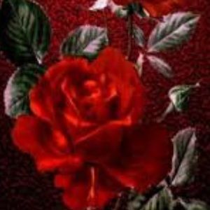 Meet your Posher, Brooklin